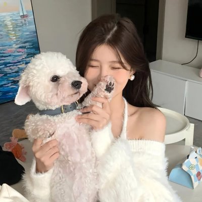 麻烦专家